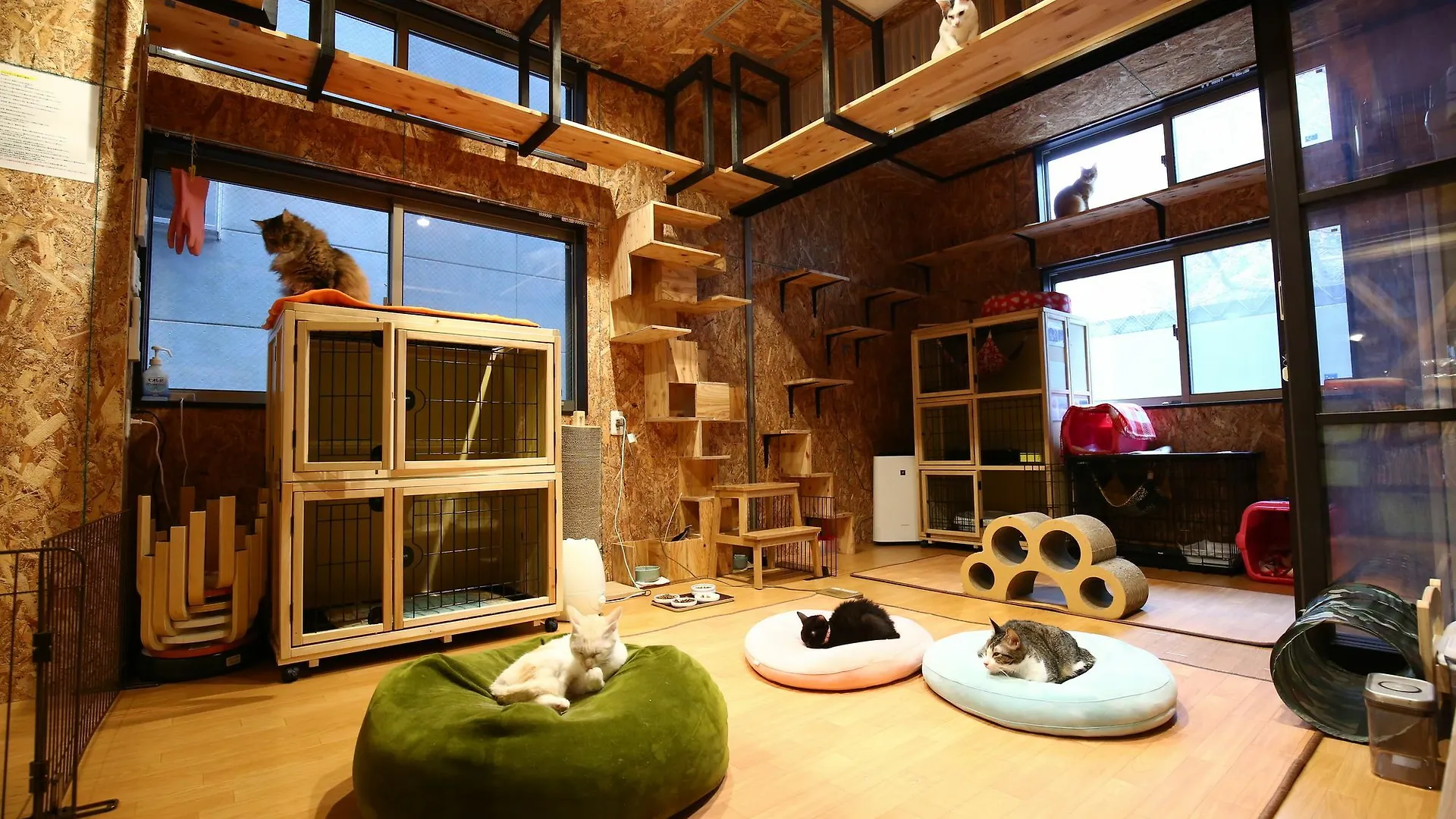 Nekokura Hostel Fukuoka  0*, Fukuoka (Fukuoka)