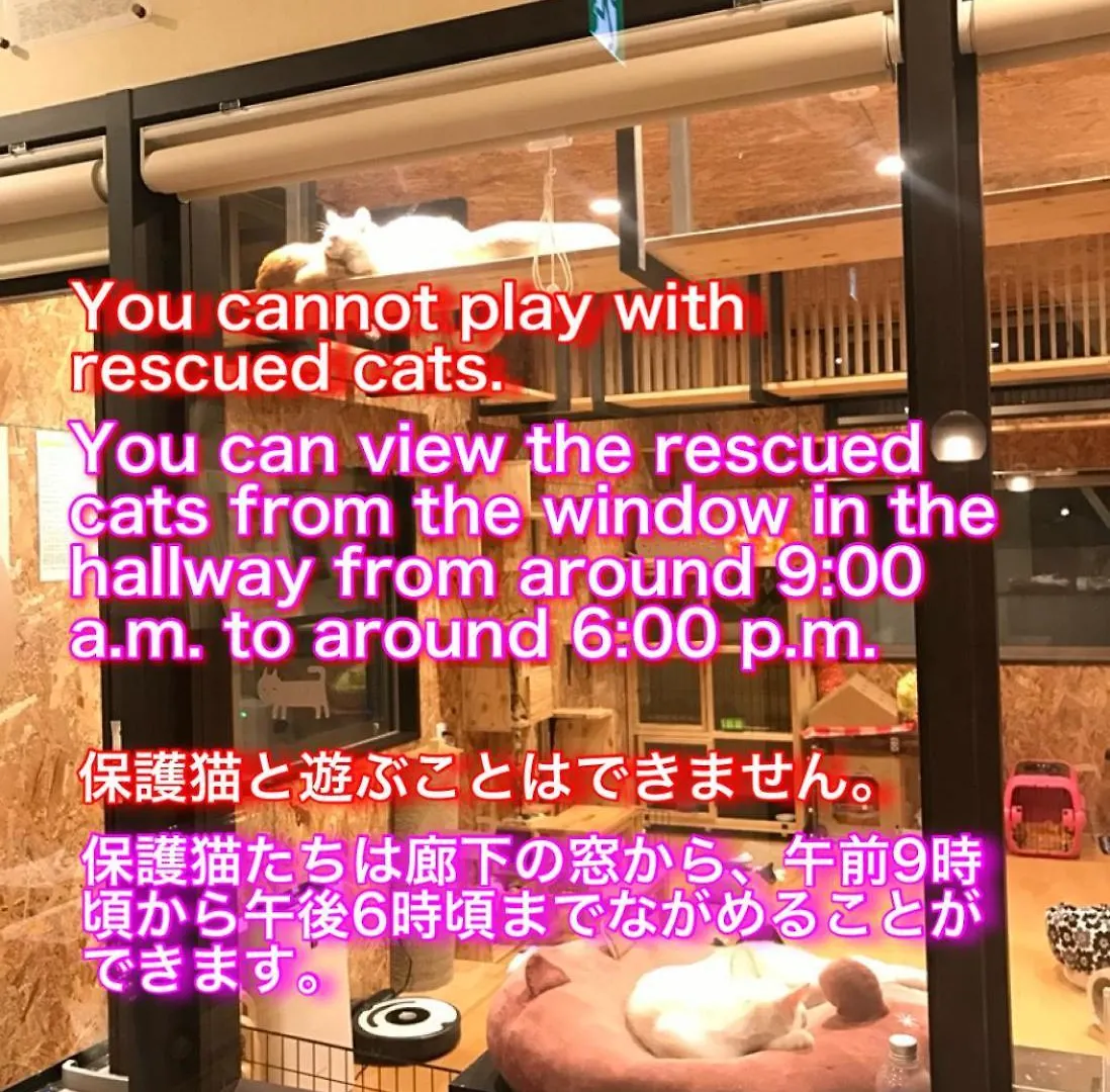 ホステル ねこ蔵　ホステル 福岡市